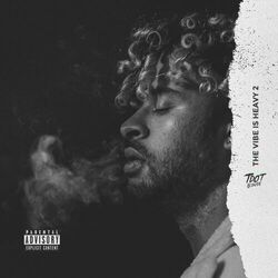 Cover of The Vibe Is Heavy 2