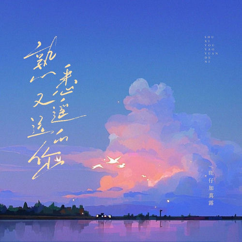 熟悉又遥远的你