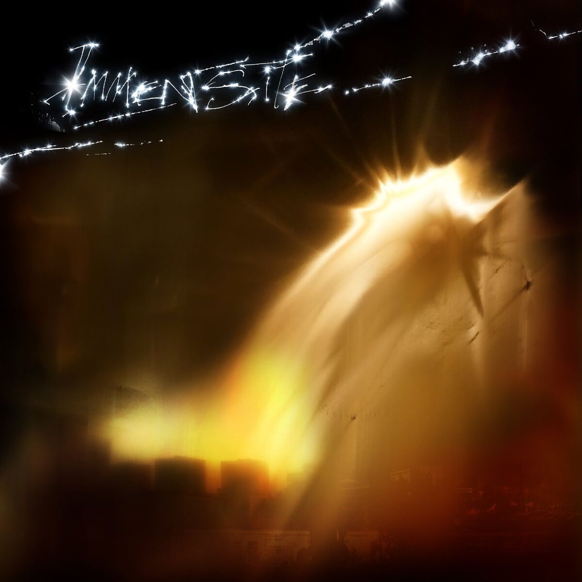 Album cover of Immensité