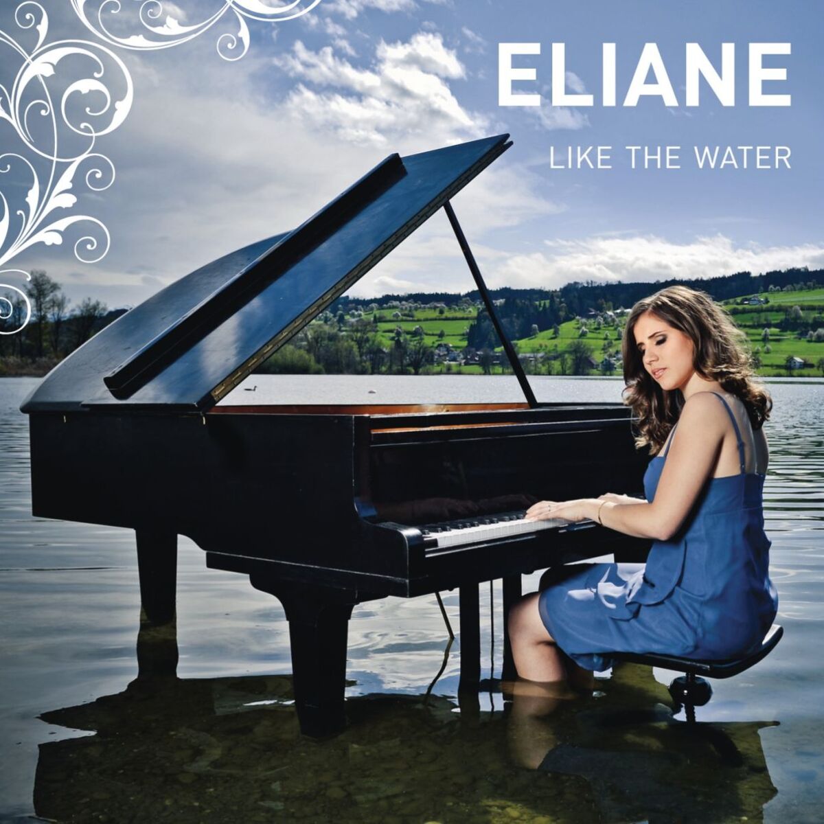 Album cover of Like the Water