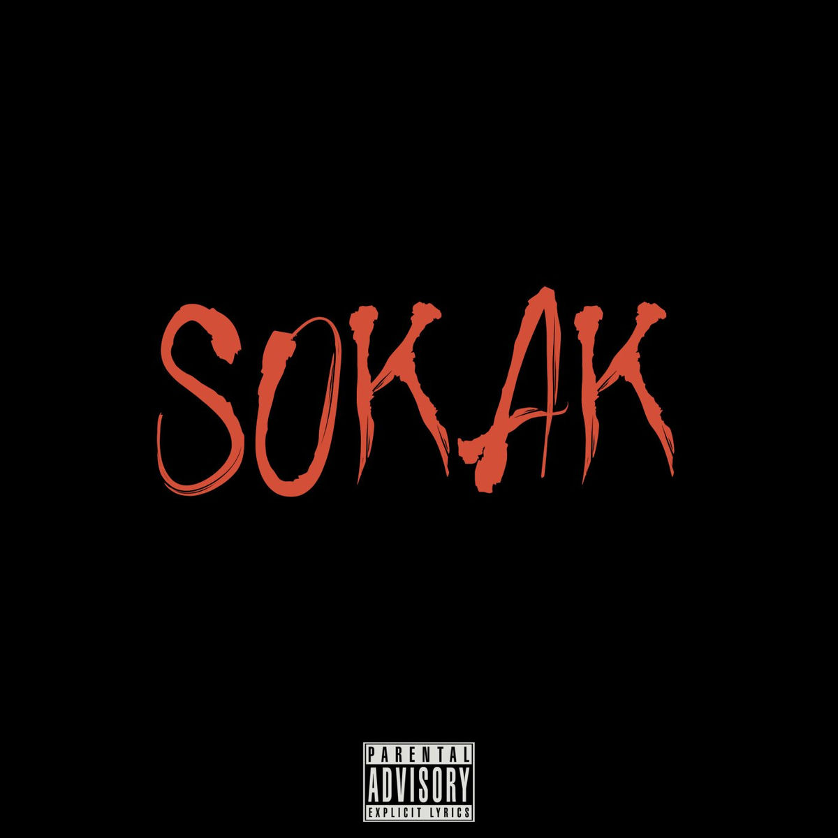 Album cover of Sokak