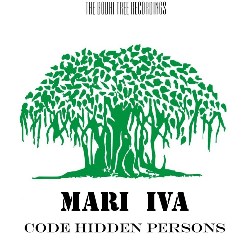 Picture of Code Hidden Persons