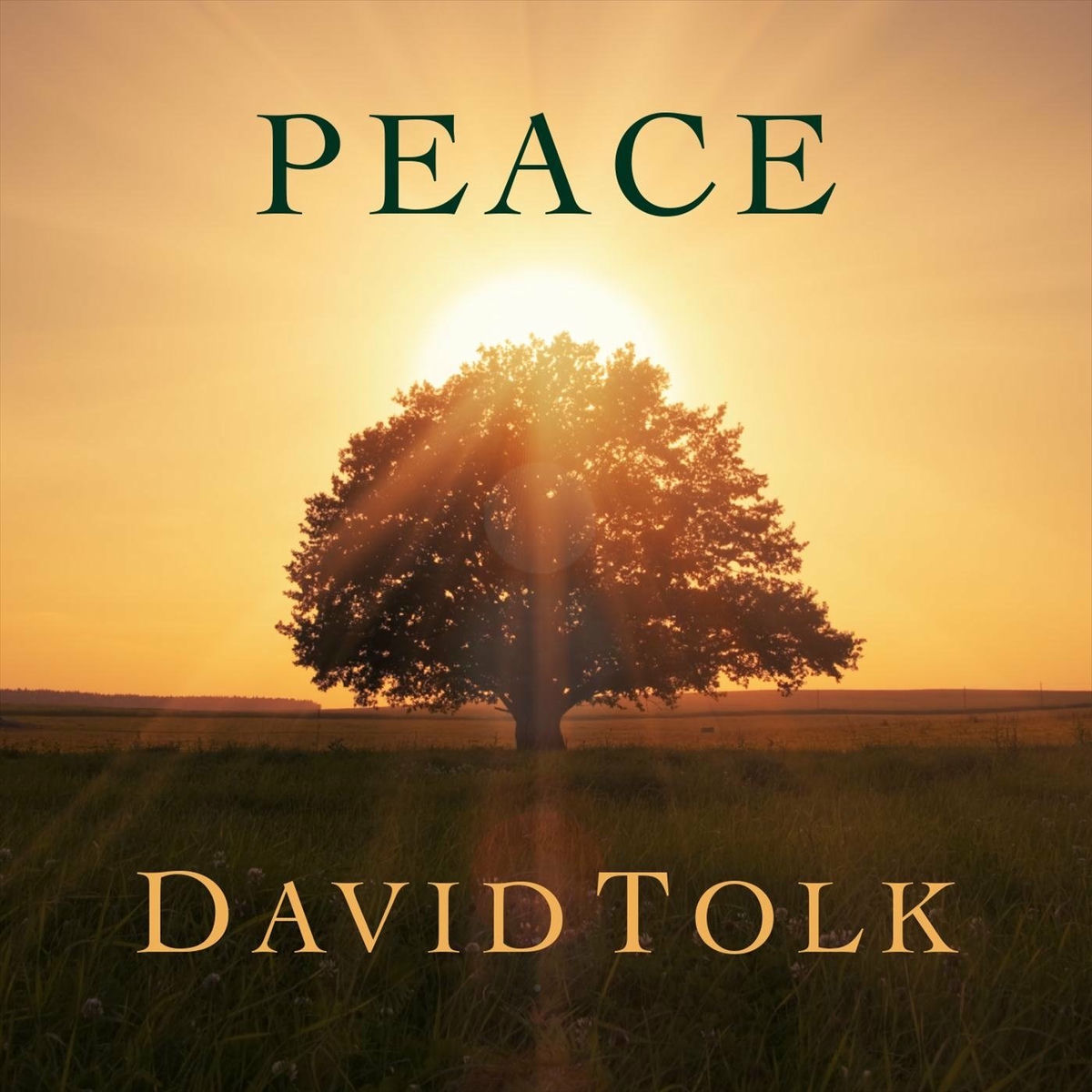 Album cover of Faith