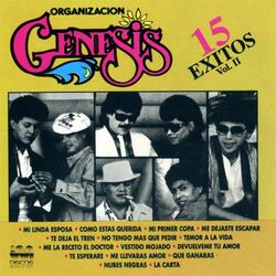 Cover of 15 Éxitos Vol. 2