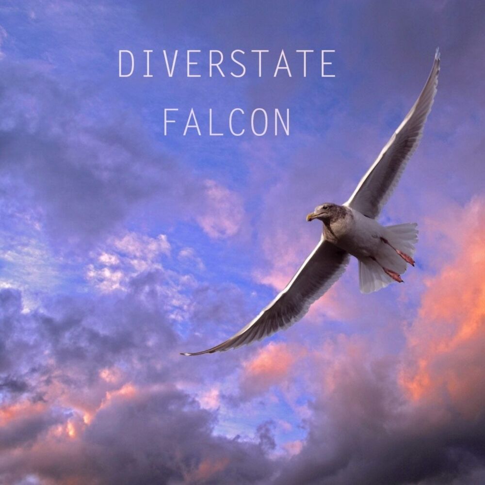 Picture of Falcon