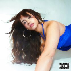 Cover of Supersonika
