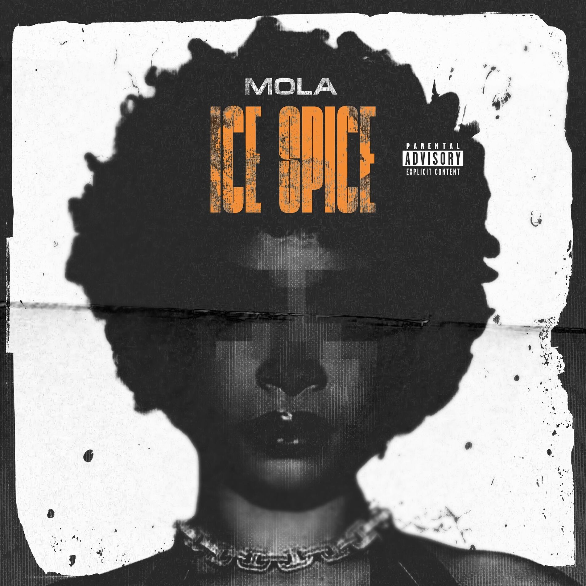 Album cover of ICE SPICE