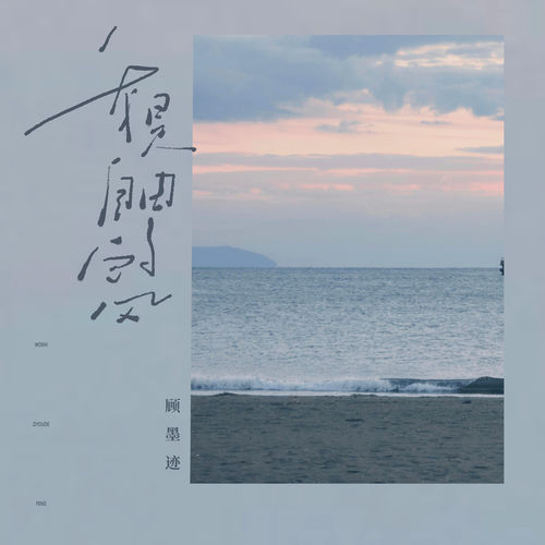 我是自由的风