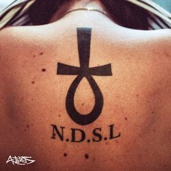 Cover of N.D.S.L