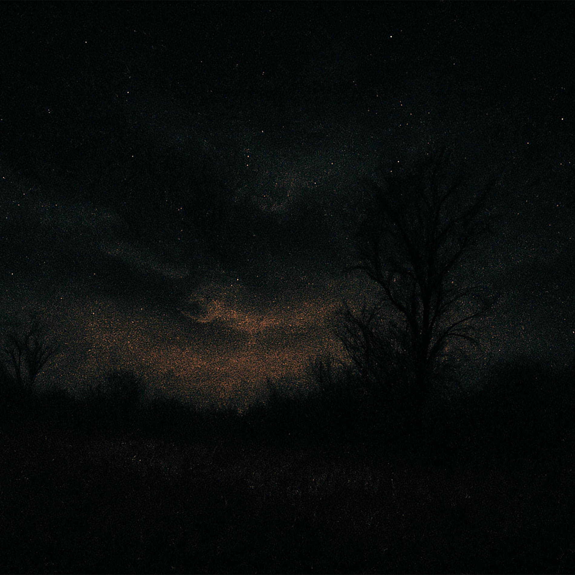 Album cover of TEARS