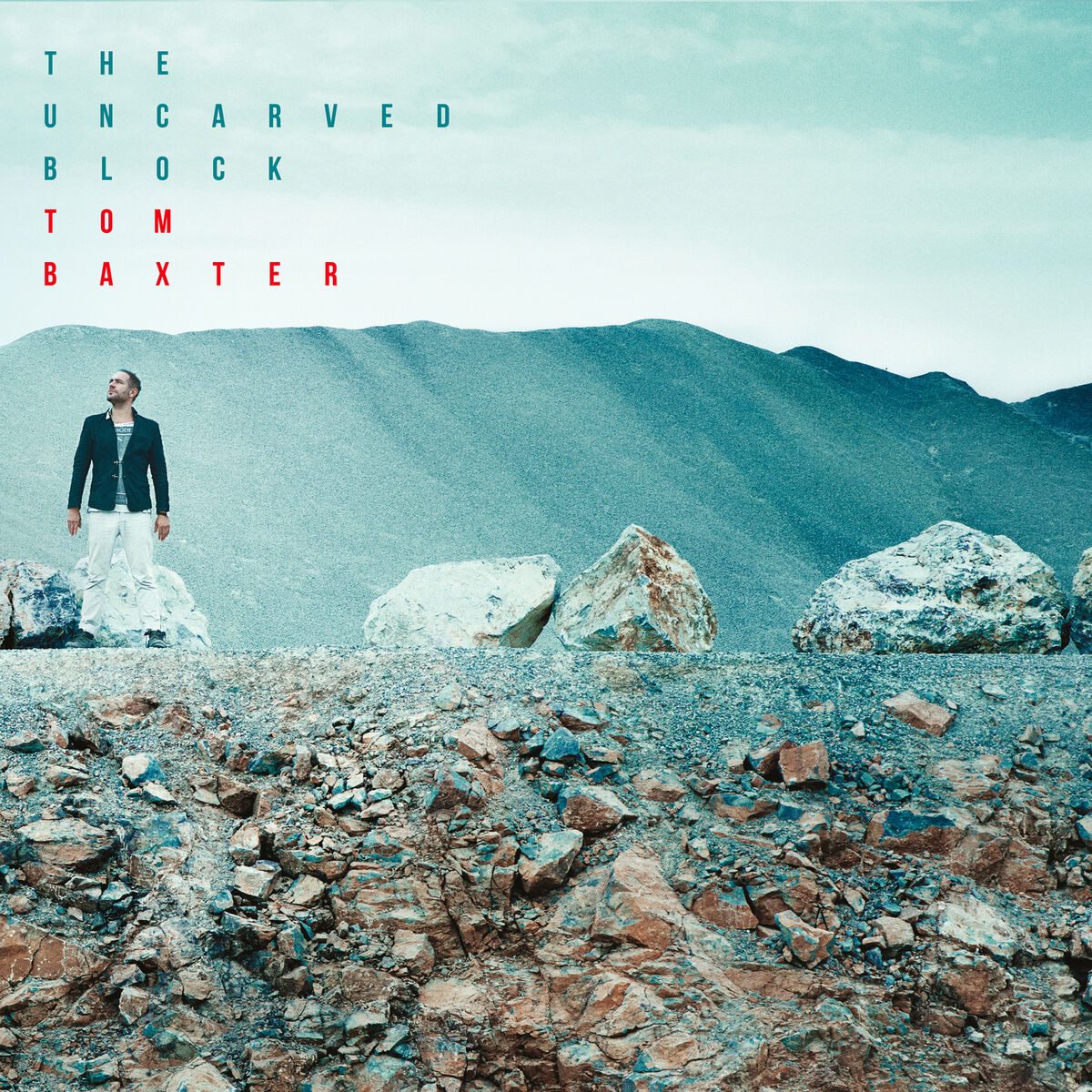 Album cover of The Uncarved Block