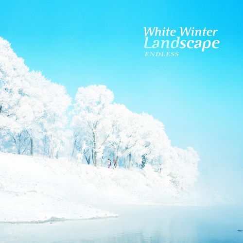White Winter Landscape