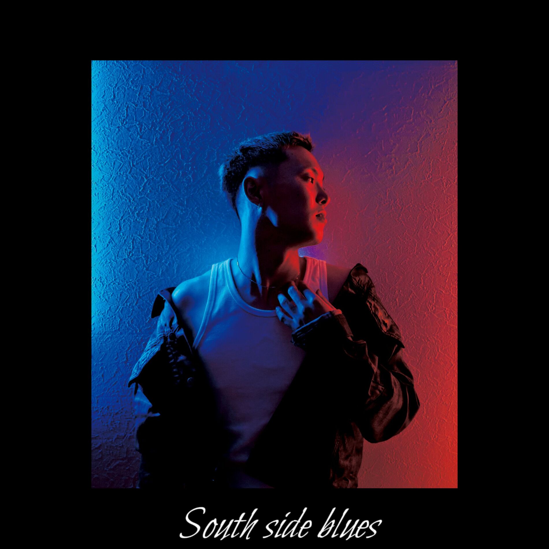 Album cover of South side blues