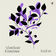 hold on by Anki album cover