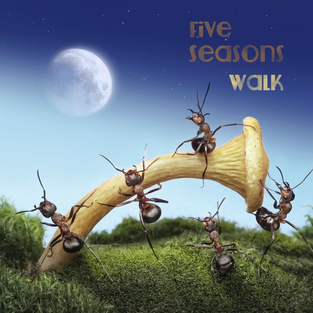Picture of Walk