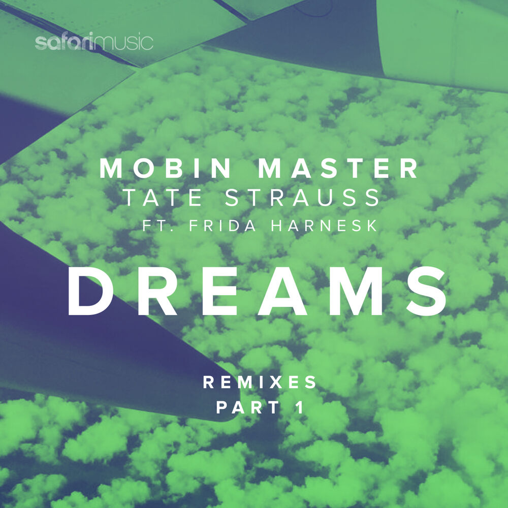 Picture of Dreams ft Frida Harnesk (remixes part 1)