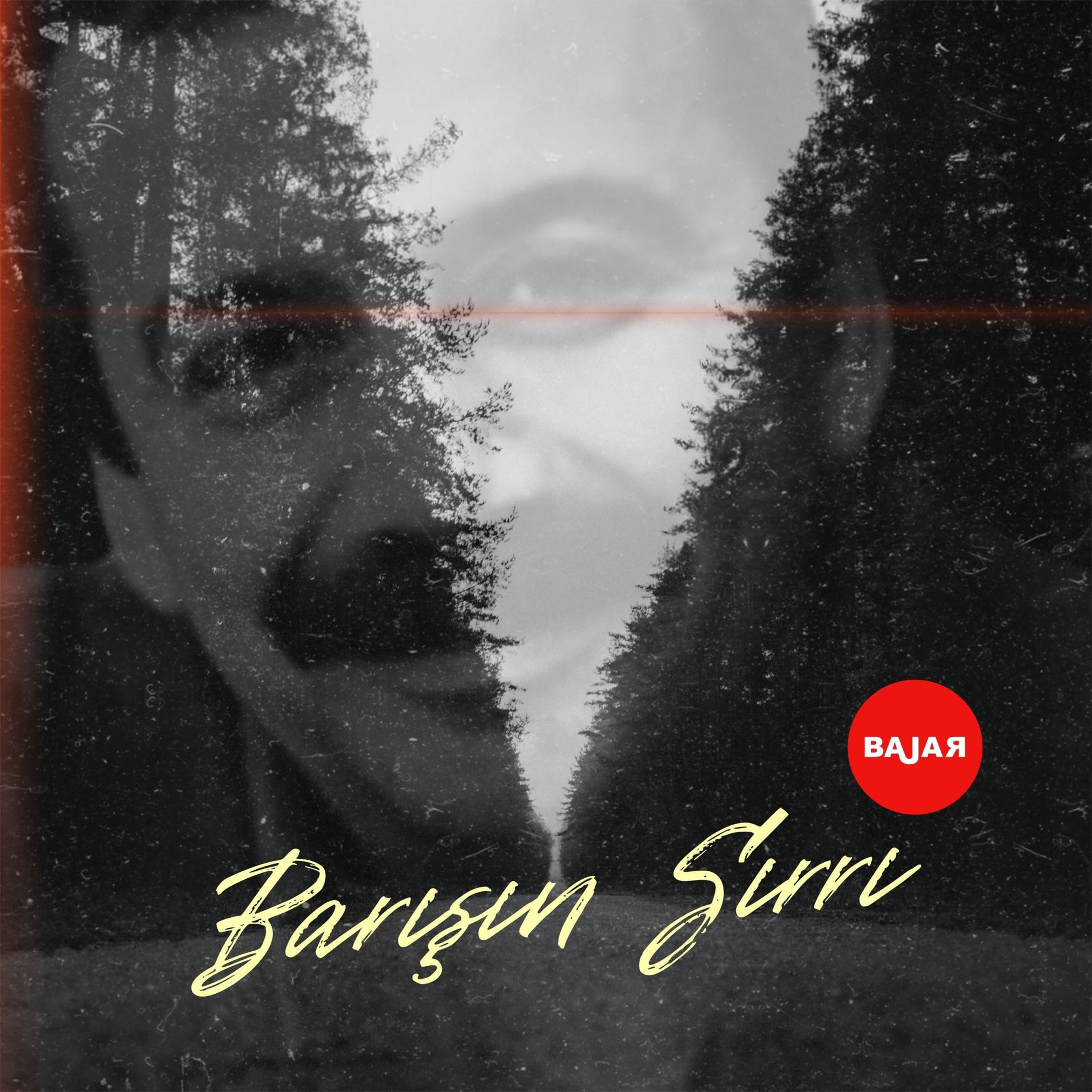 Album cover of Barışın Sırrı