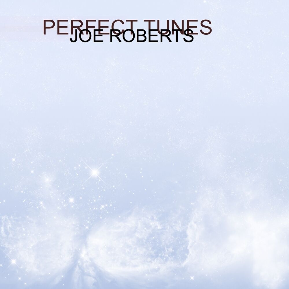 Picture of Perfect Tunes