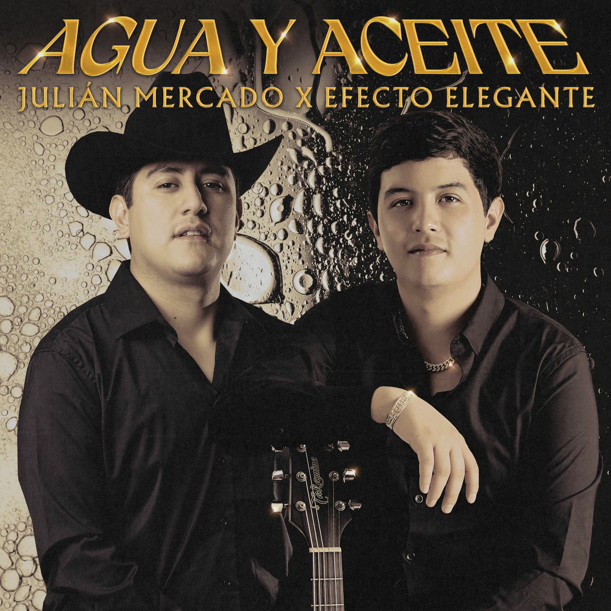 Album cover of Agua Y Aceite