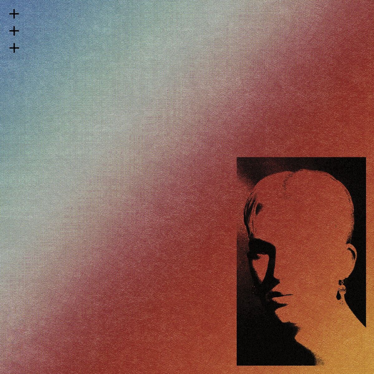 Album cover of Palms