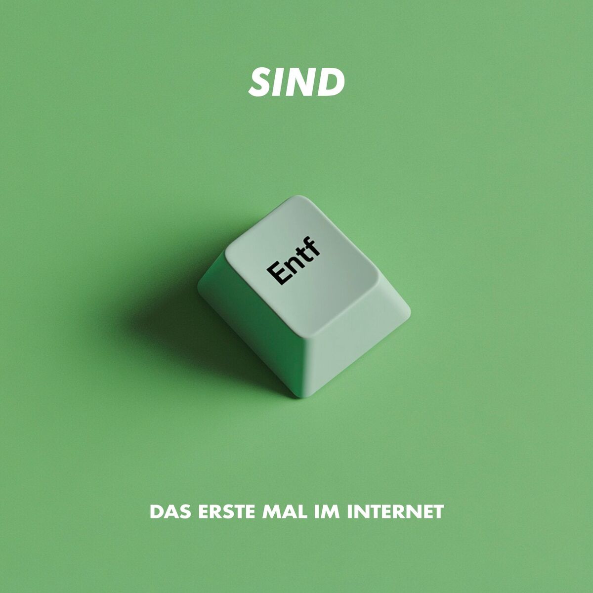 Album cover of Das erste Mal im Internet