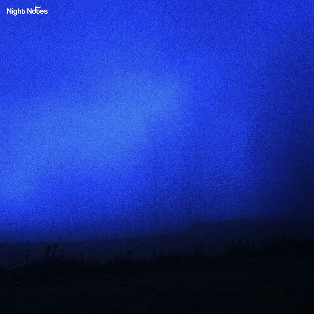 Picture of Misty Fields