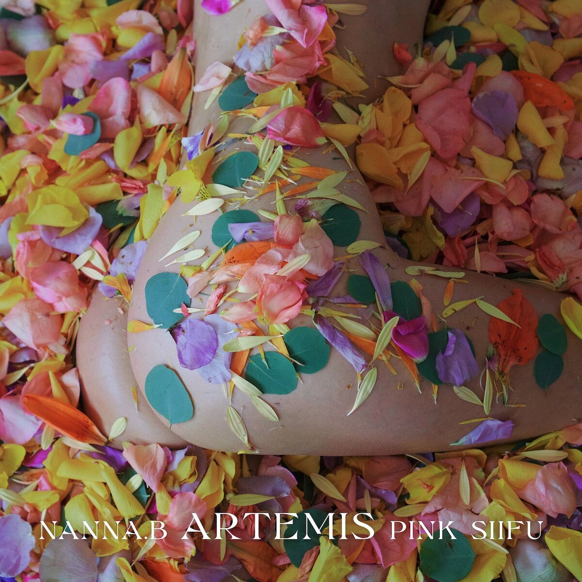 Album cover of Artemis