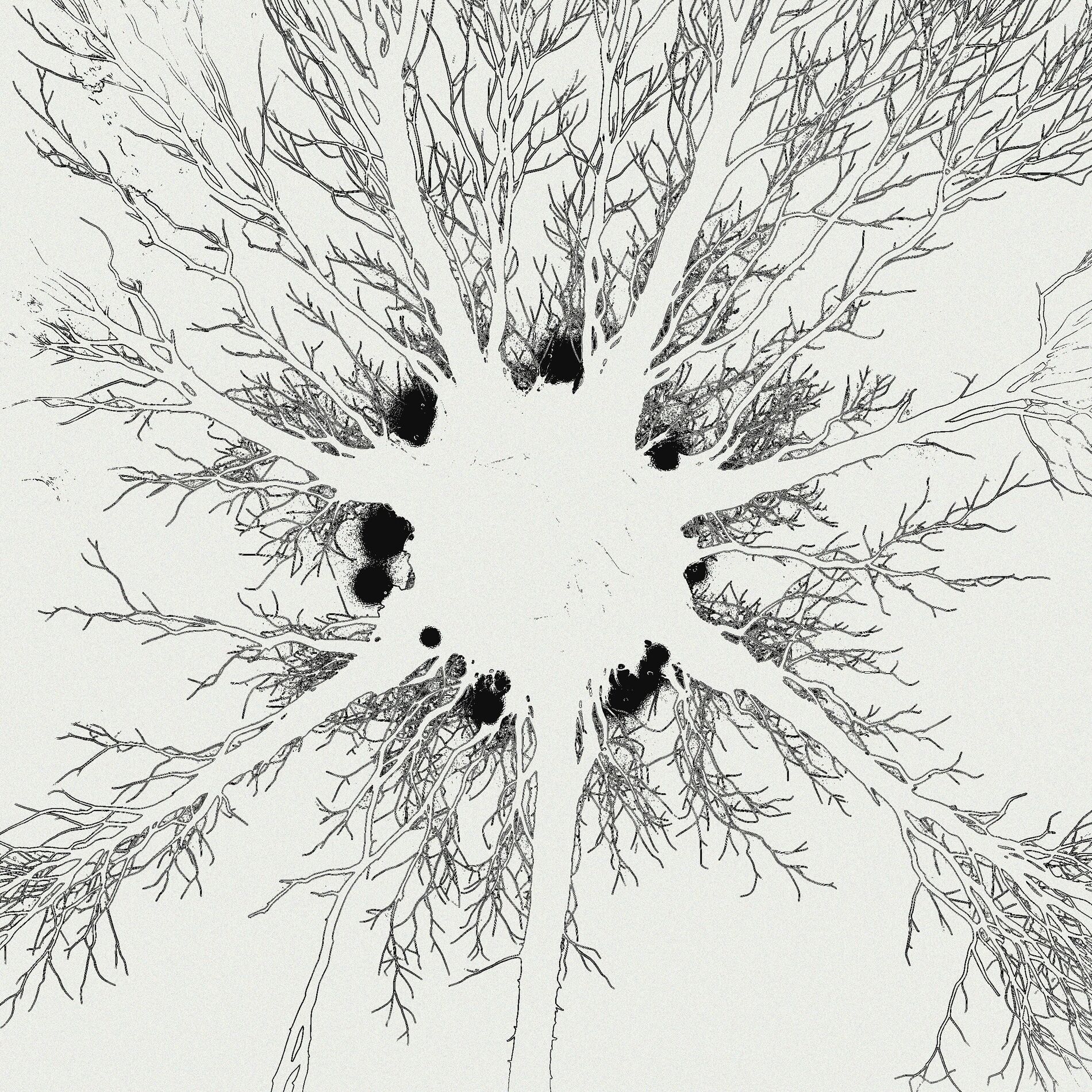 Album cover of Absolune - Variation I. (Pipe Organ)