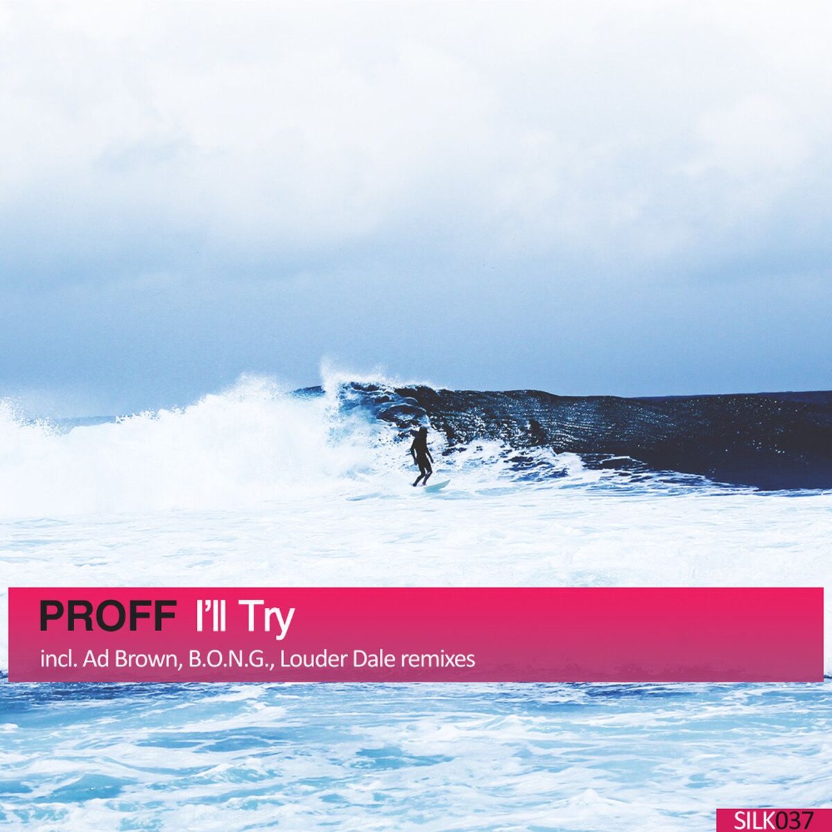 Album cover of I'll Try
