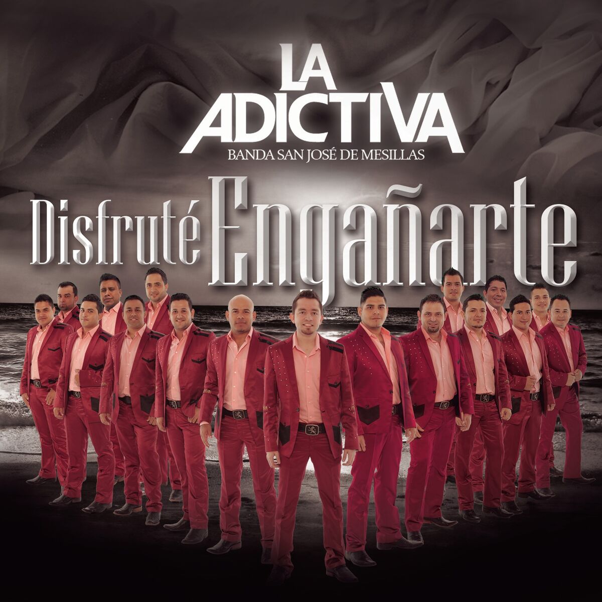 Album cover of Disfruté Engañarte