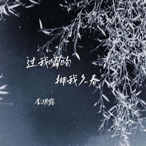 过我嶙峋 拥我久春
