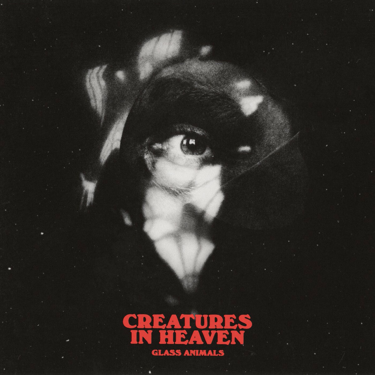Album picture of Creatures In Heaven