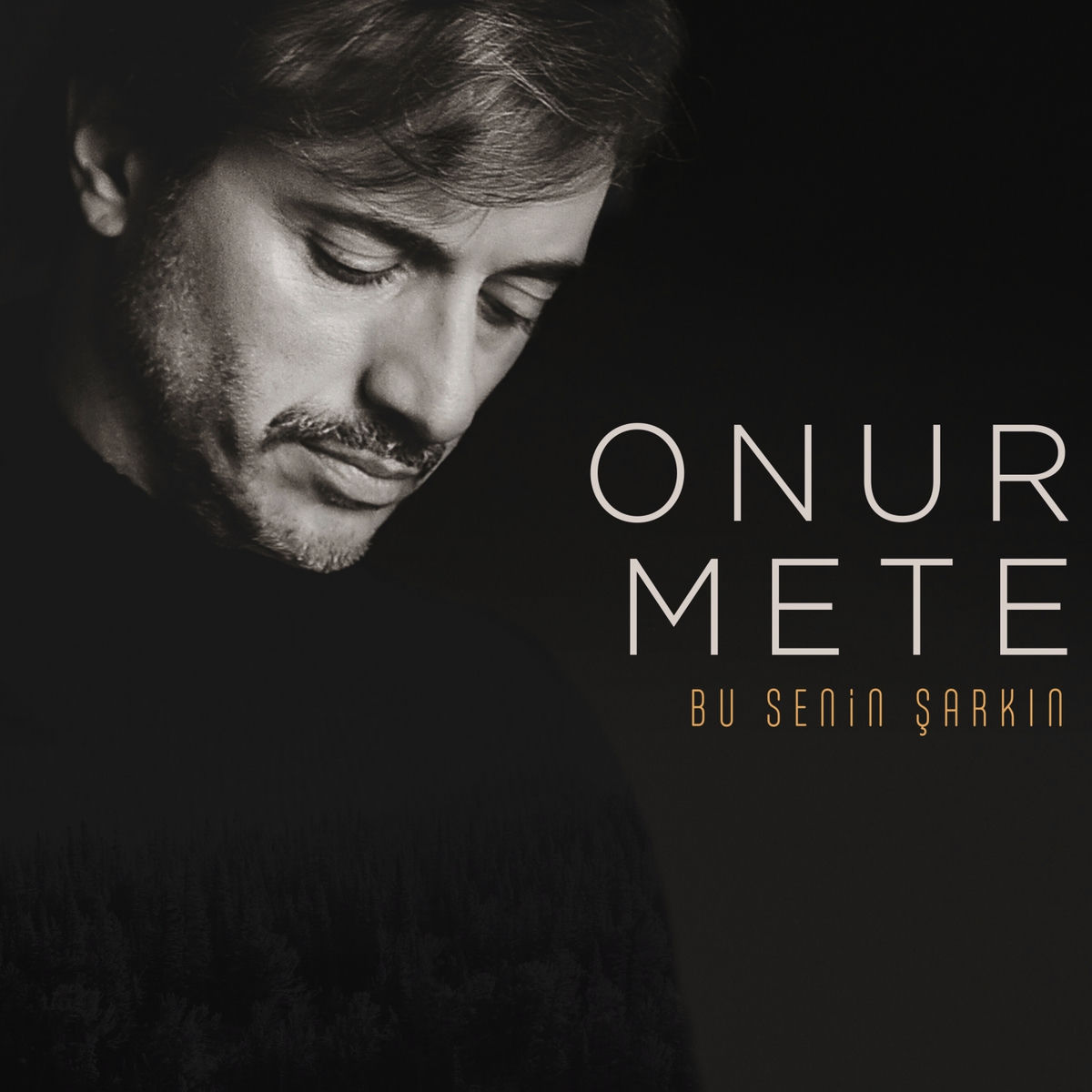 Album cover of Bu Senin Şarkın