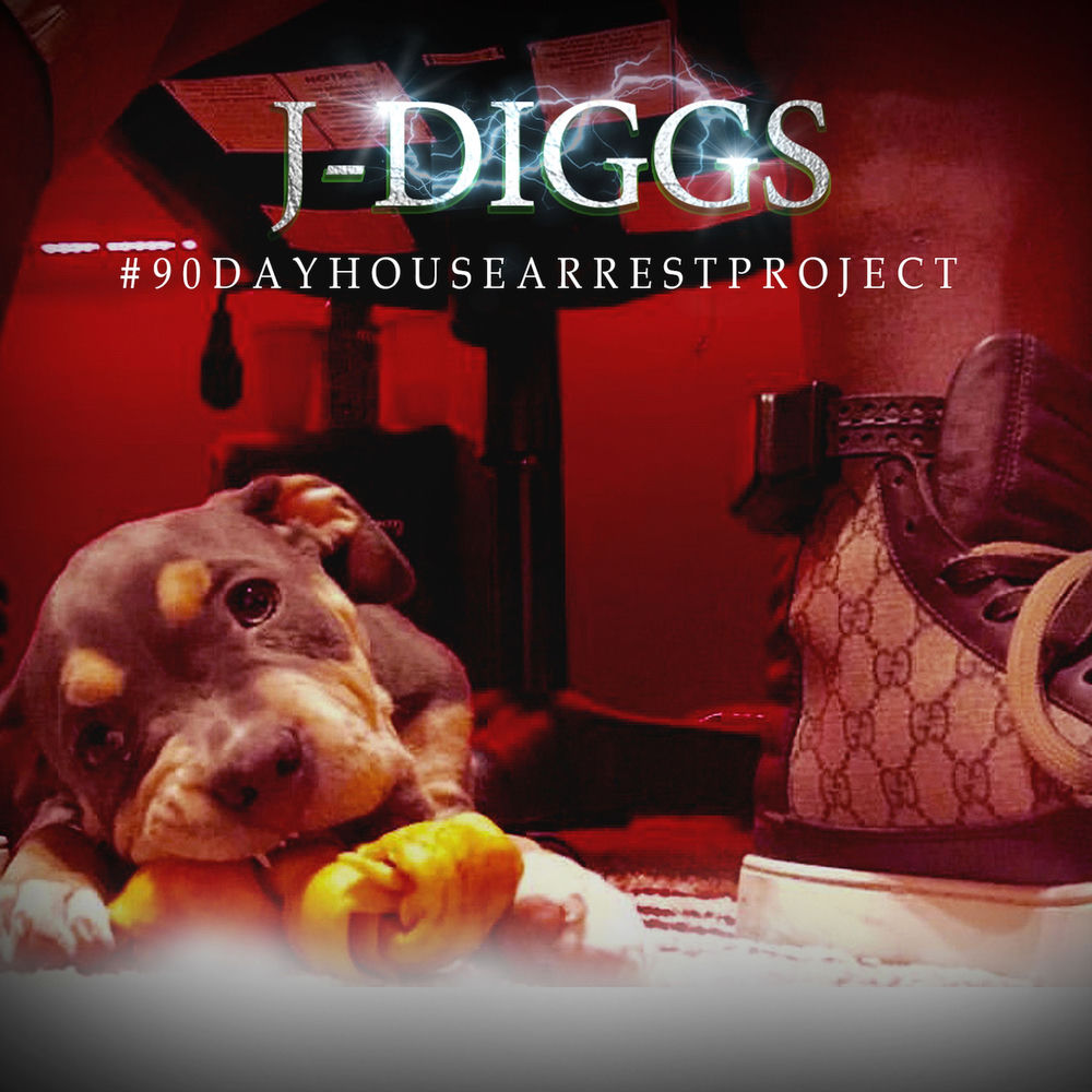 Pochette #90DayHouseArrestProject