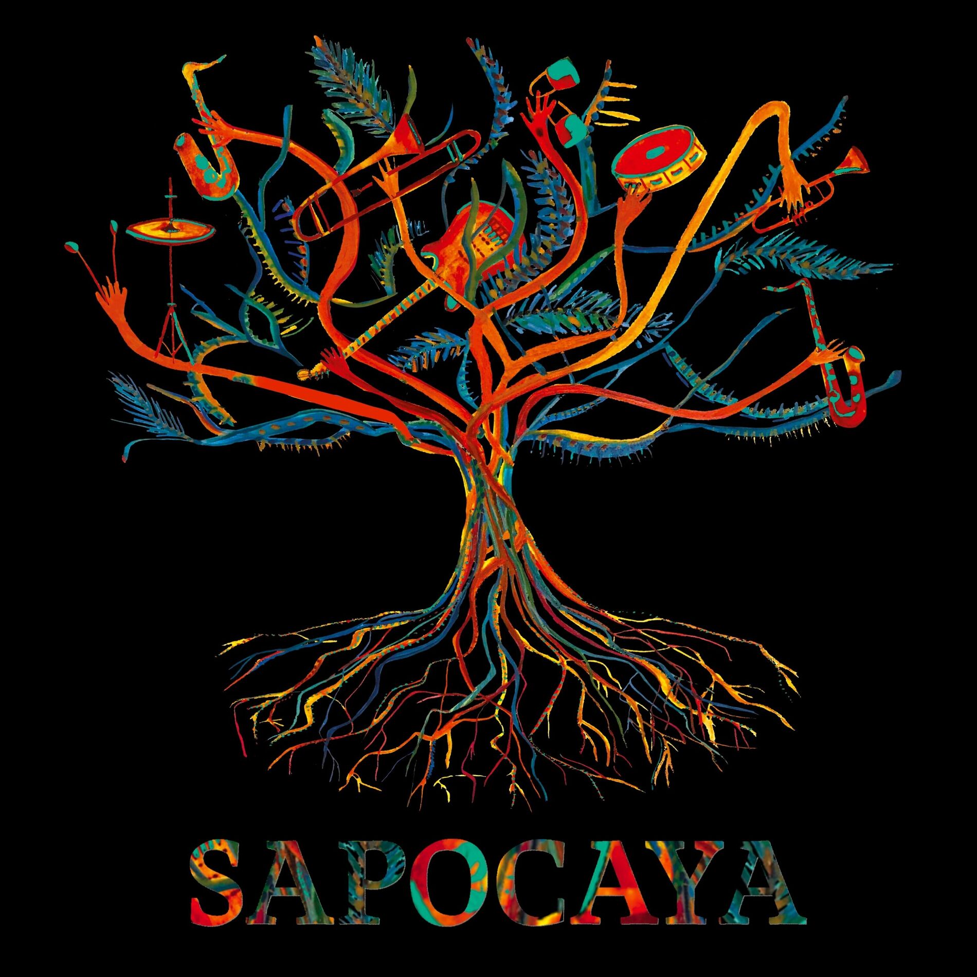 Album cover of Baraúna