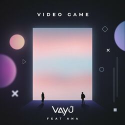 Cover of Video Game