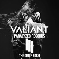 Cover of The outer form