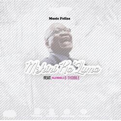 Cover of Mshini Ka Zuma