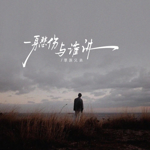 一身悲伤与谁讲 (DJ默涵版)