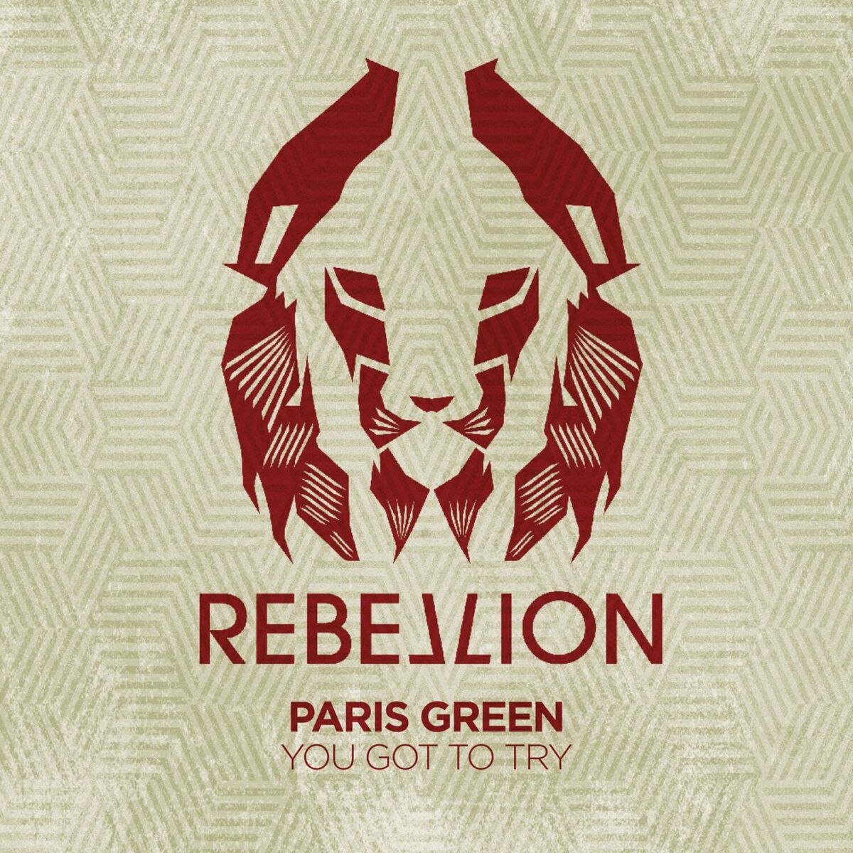 Album cover of You Got to Try