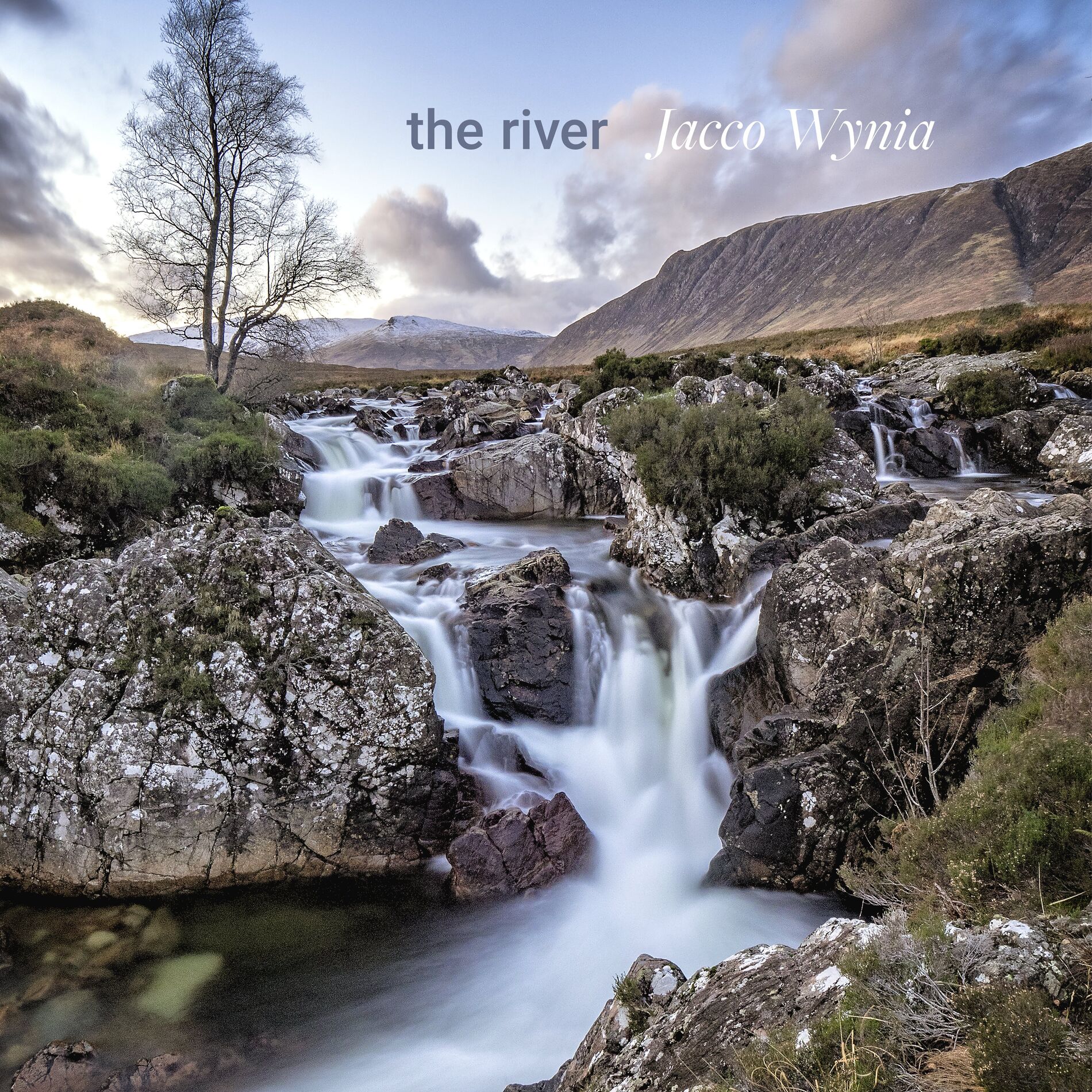 Album cover of the river