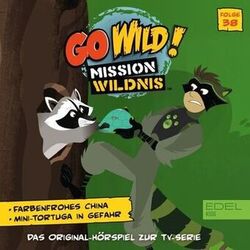 music cover