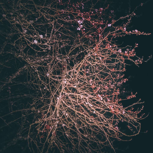 coming to terms