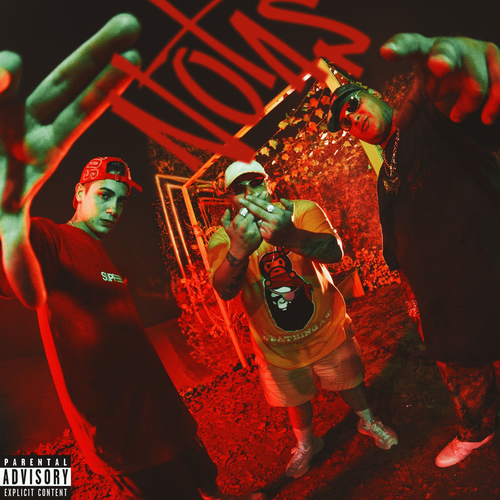Album cover of Notas