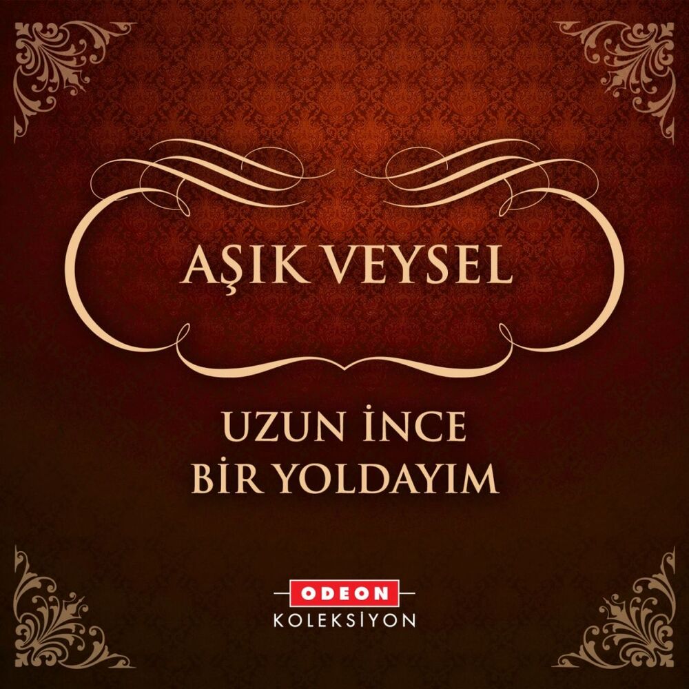Picture of Uzun İnce Bir Yoldayım