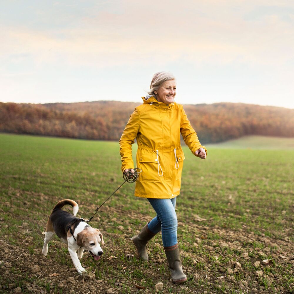 Picture of Blissful Dog Companionship: A Binaural Journey through Nature's Serenity