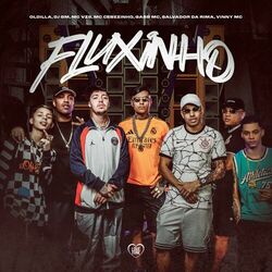 Cover of Fluxinho