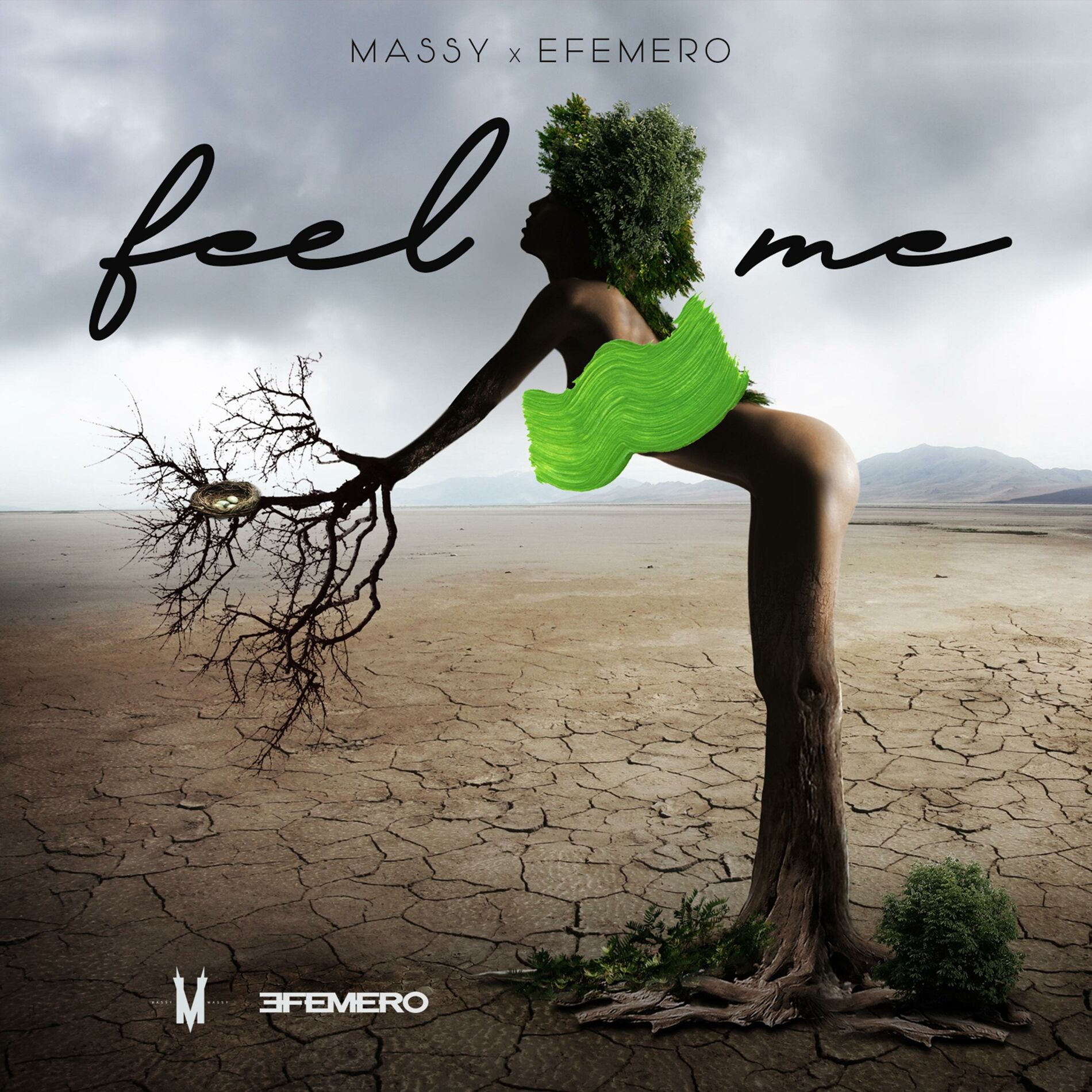 Album cover of Feel Me