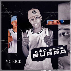 Cover of Não Seja Burra