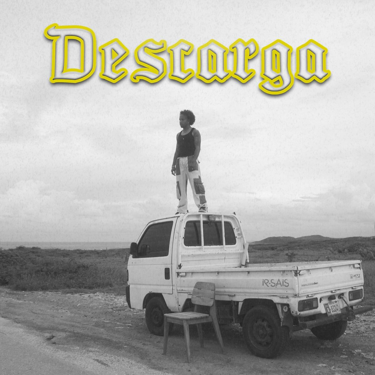 Album cover of Descarga